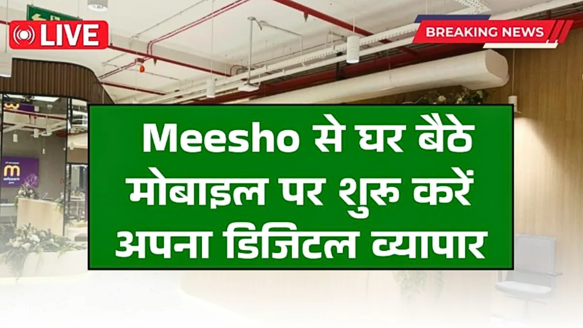 Meesho Work From Home 2026